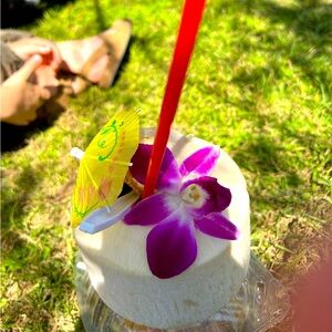 Live Posh Show listed and unlisted items 04/19/24